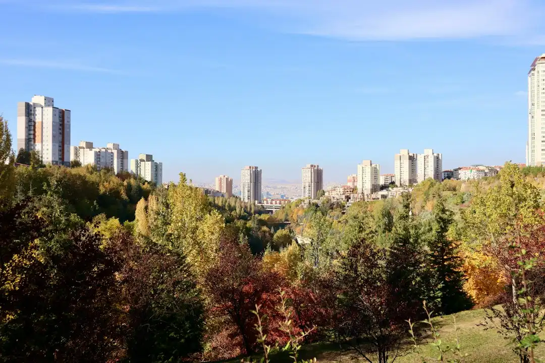 杭州电子口岸IC卡制卡与延期办理常见问题及处理方案